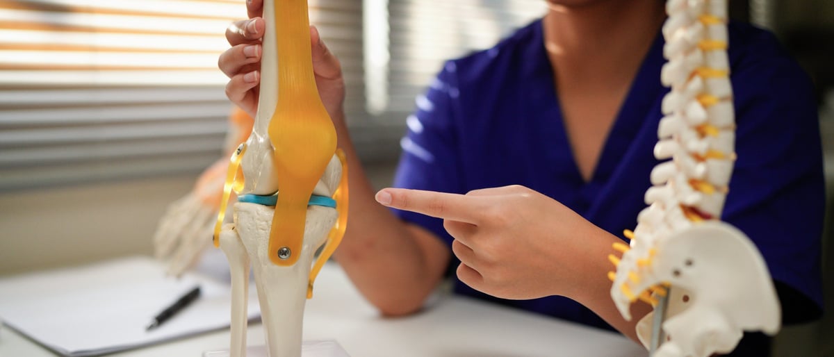 Doctors office with a knee bone model